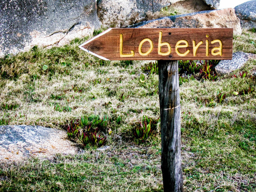 f2f2e3_125fb2fc4ed8481abf47247249f53be5~