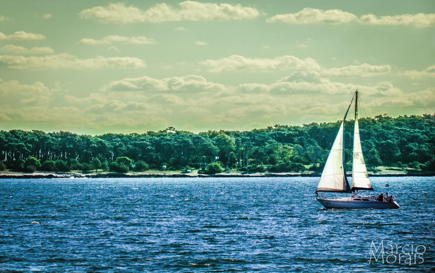 f2f2e3_5b0e9555348243808f844a99a45ccab1~