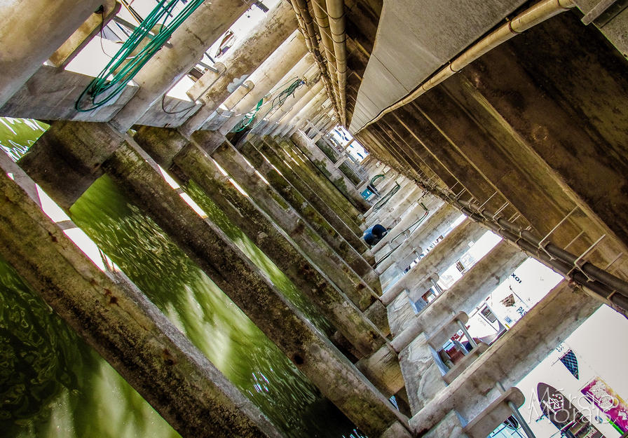 f2f2e3_8e0768d59287465eb045b4d5204e7e4f~