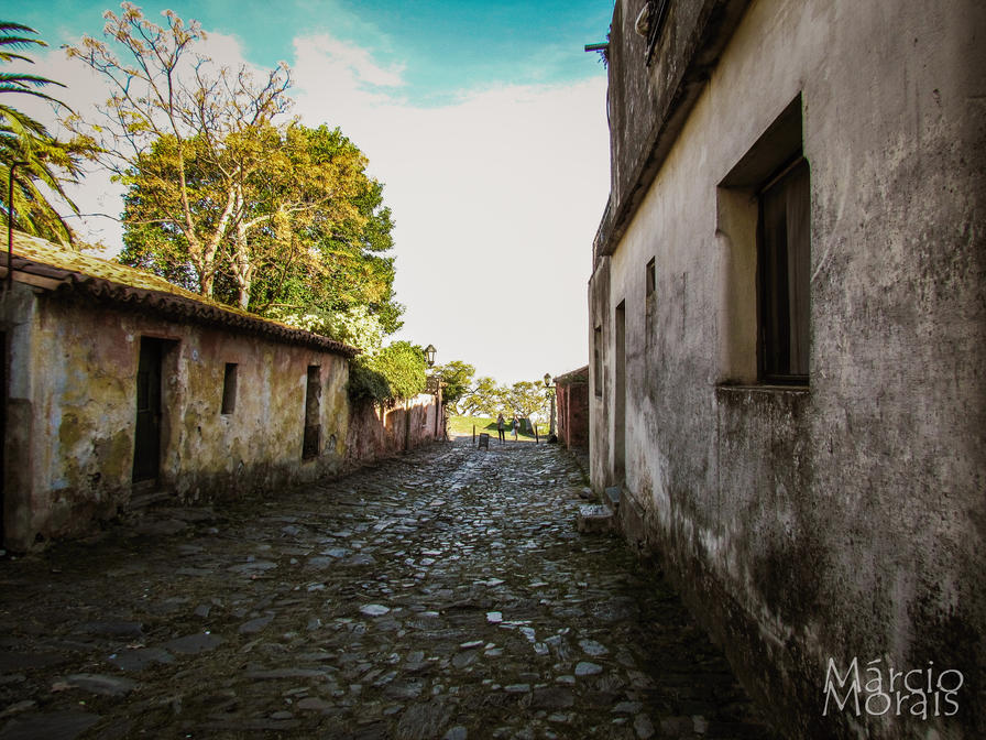 f2f2e3_af58171af56944289718edb816ac93a3~