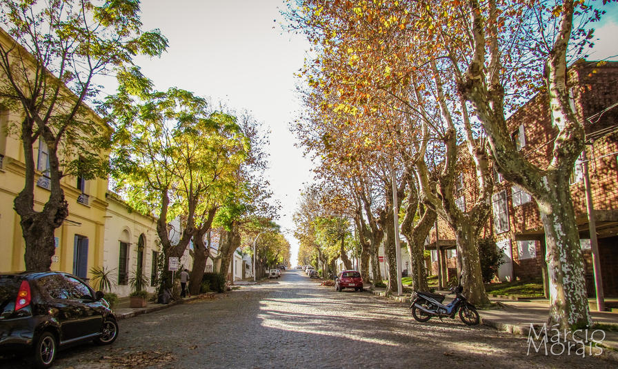 f2f2e3_8c48d42f12684d2eafb3f95c335ab607~