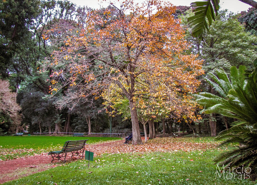 f2f2e3_c362511273ab4b7890268a9cacfb7397~