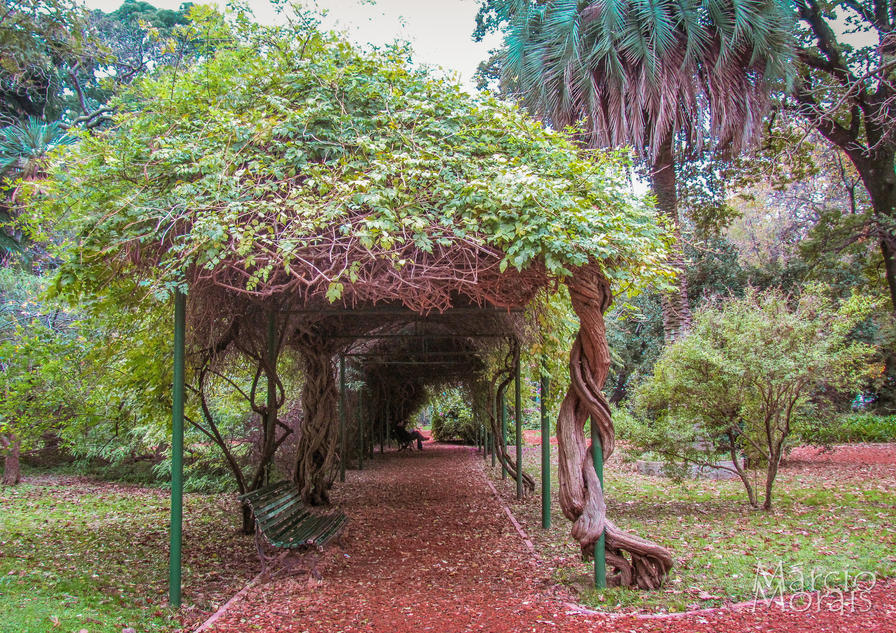 f2f2e3_2c7e85e107c54c668c2507a1168d18d8~