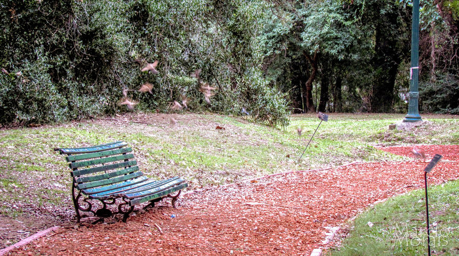 f2f2e3_60d0e34204b044a299fd5feee0d946f8~