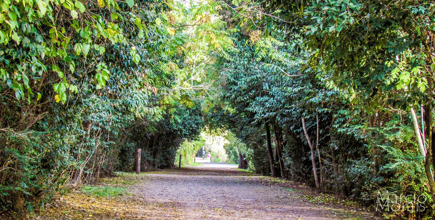 f2f2e3_2d456134cadf4b25b88fb8e8a9dbc200~