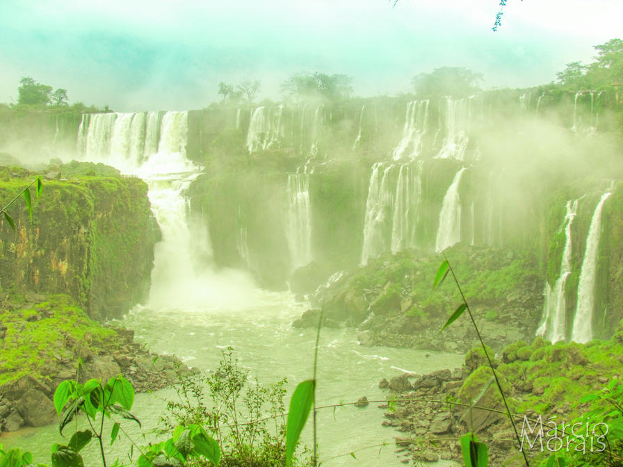 f2f2e3_24463a40b6db452ca3e18cba743f61d4~