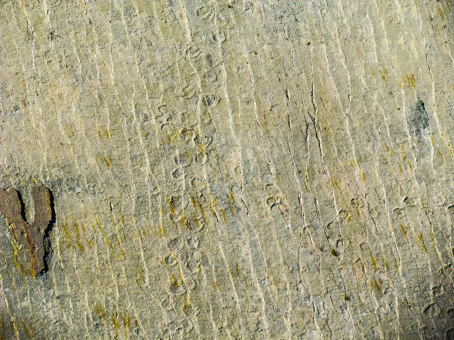 f2f2e3_71cb019f1d2c451aabfe0e09c85fce52~