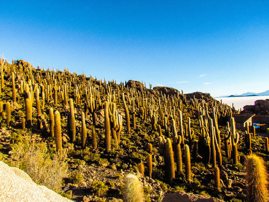 f2f2e3_6b3e1b3c93cb4a0397c3b0c007d8b686~