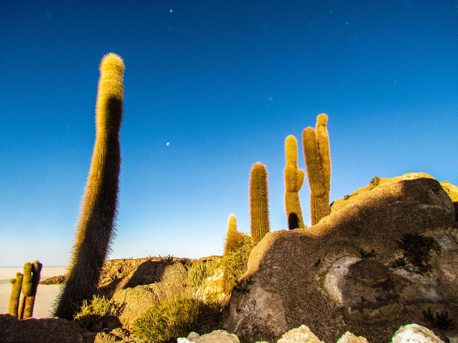 f2f2e3_eda9efb7f48f467da81a856546bfdb28~