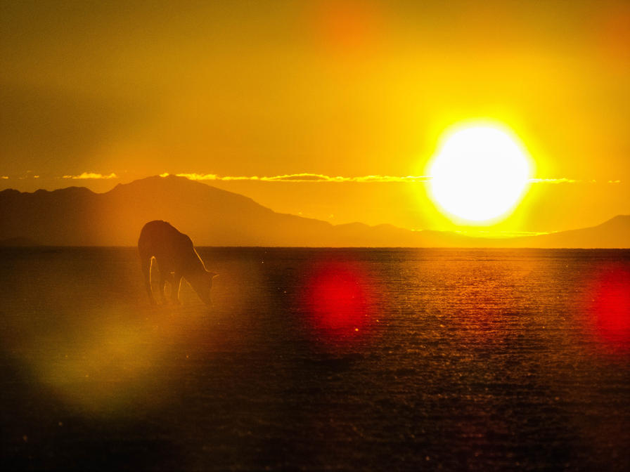 f2f2e3_20d430e891464206bf92f58800c8758d~