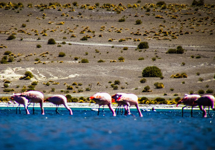 f2f2e3_683d337d49a440029ba190e779c5391d~