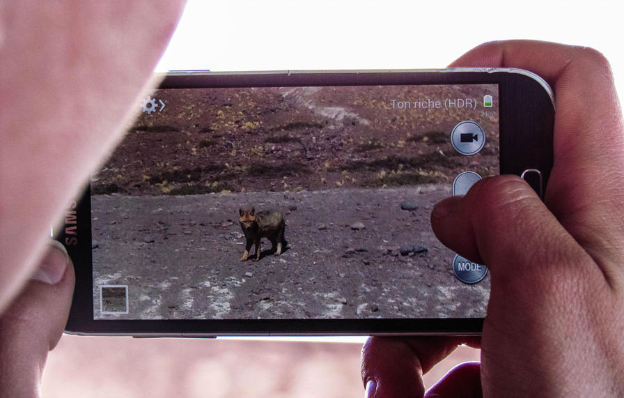 f2f2e3_5058bfb3e0644e45b19041a418e11938~