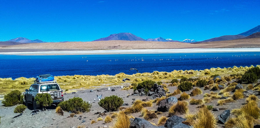 f2f2e3_de821376c2664c7fb43a42c2ca735a96~