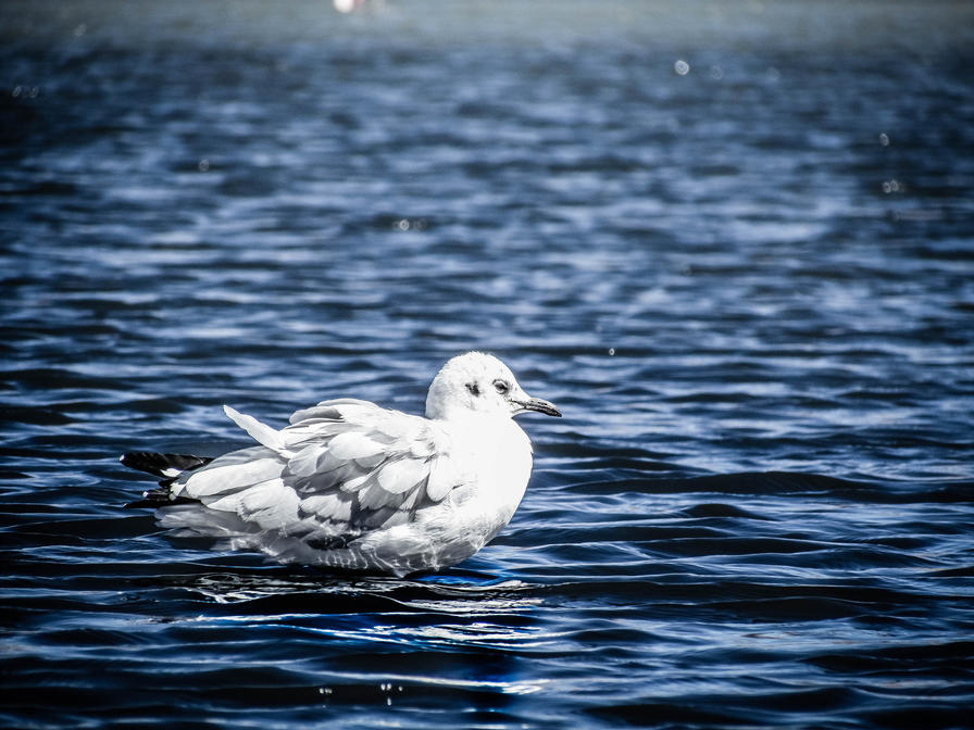 f2f2e3_3c496f41471f4f88abd2b4f5bc118d8e~