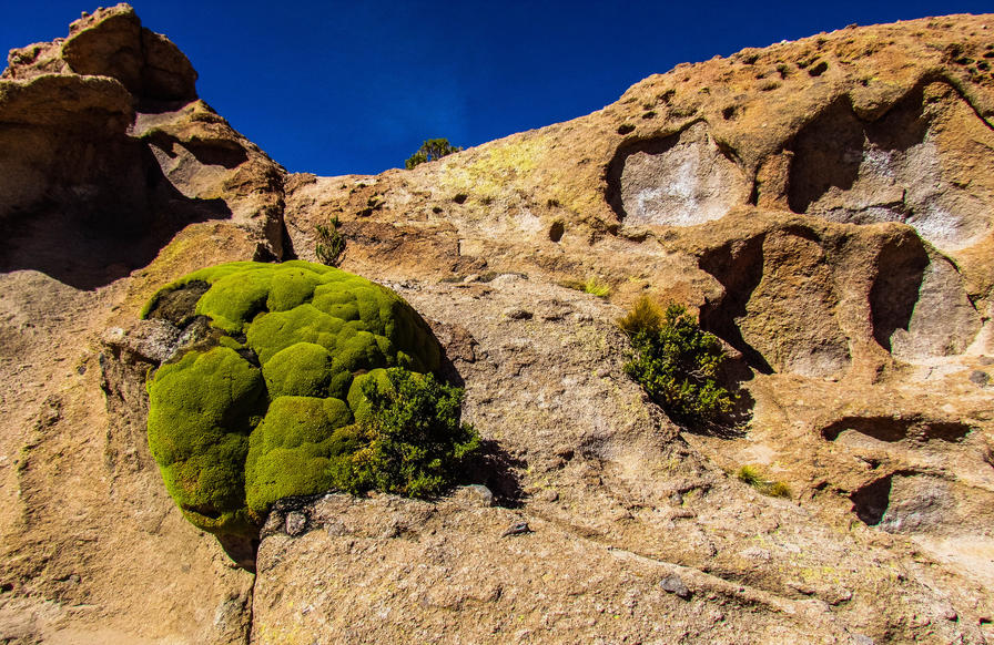 f2f2e3_85d921221435450298a7041f51ee3c33~