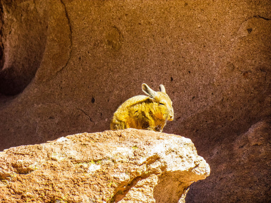 f2f2e3_d4306a0e16dc40fd8459a041c48e584c~