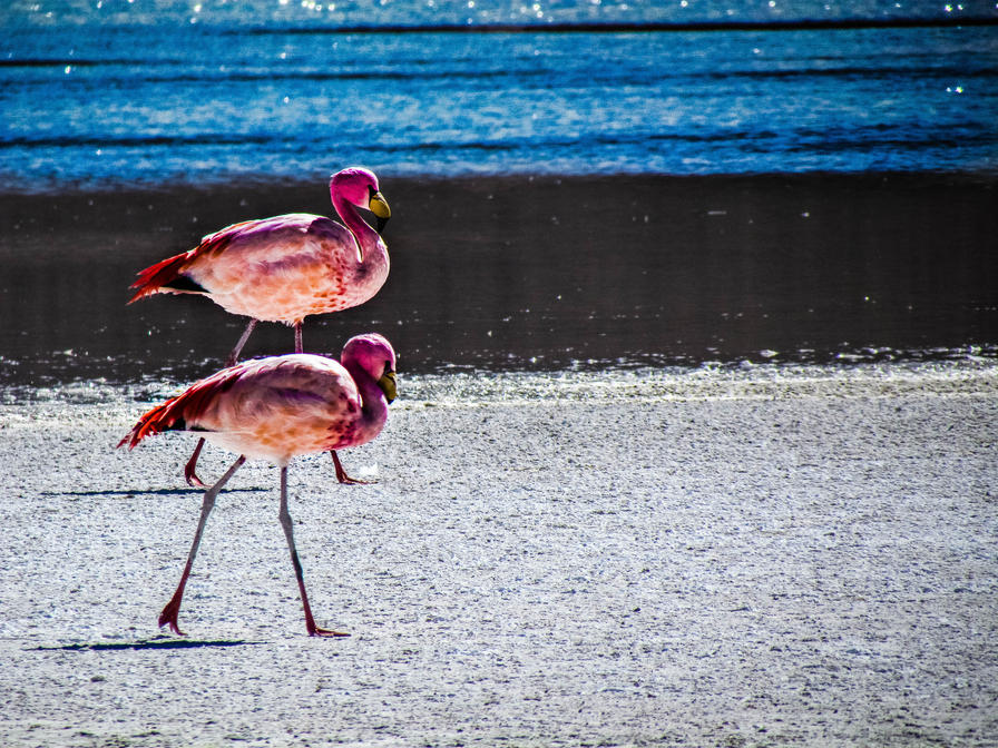 f2f2e3_85b07e54fcb74579aae554895c8e5660~