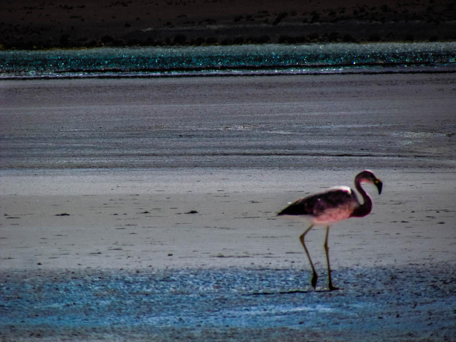 f2f2e3_14579e901d974f2ab6adb0fea9a46e0b~