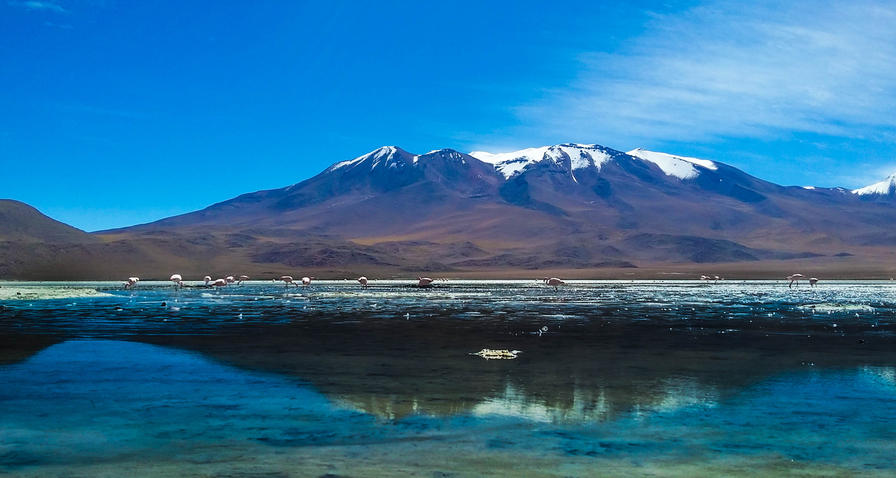 f2f2e3_46dab0078aa44d6e91951f99cfbb18e6~