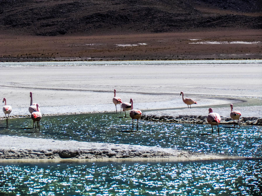 f2f2e3_1c1657451bf2407e99a5c2c7def3fb53~