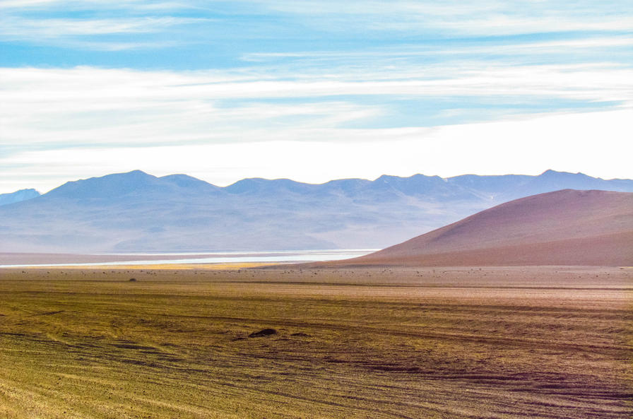 f2f2e3_7ae907f49a234e80aebe7b46f19696d5~