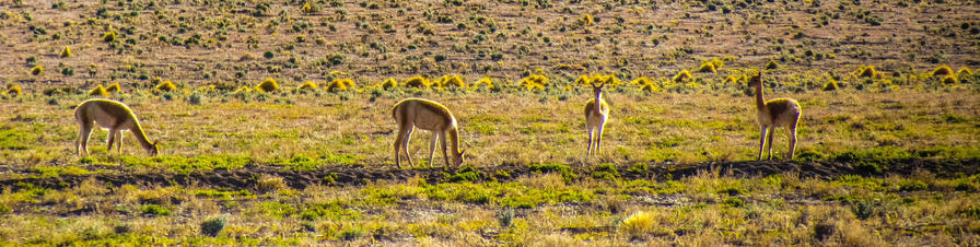 f2f2e3_20b36aab56f34c4aa81eeaad249d72bf~