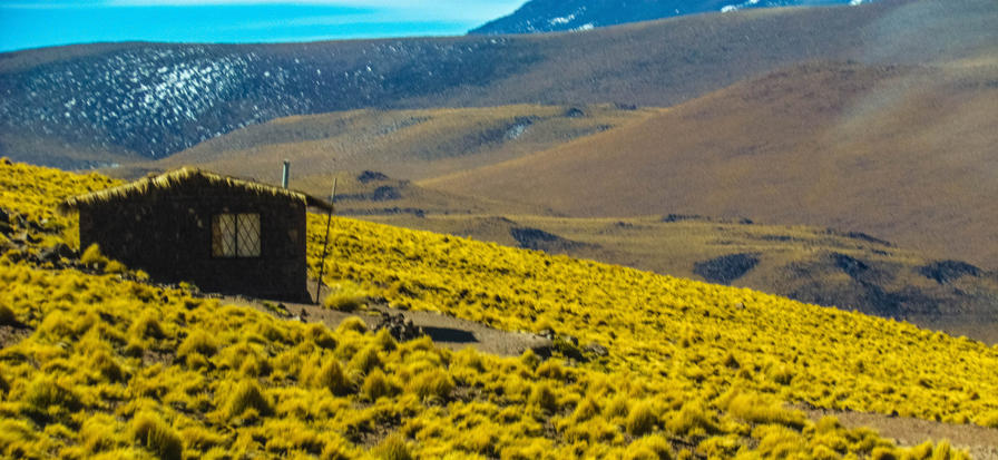 f2f2e3_b2259d9469424520b264650efb5d96c2~