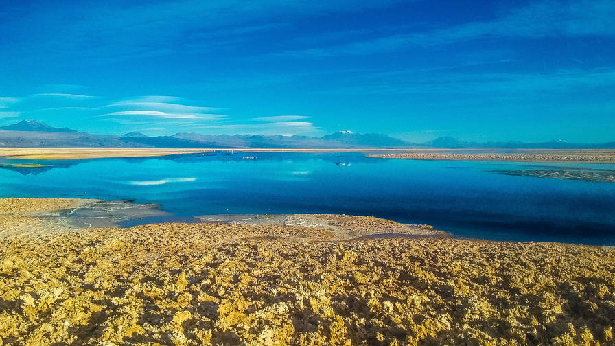 f2f2e3_bd5db1a0ae7840c98a6917ea9f6730fe~