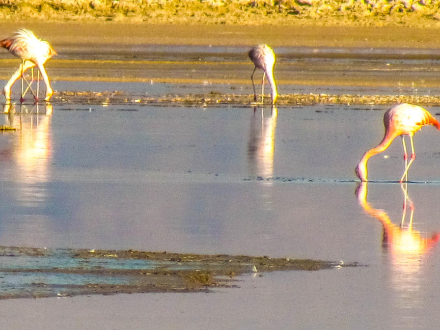 f2f2e3_f2adeb23042d40b6bee0476097931752~