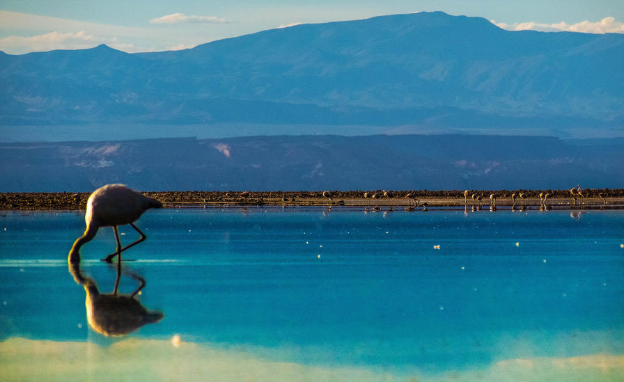 f2f2e3_3c218b34903b43e285332cf51c55756e~