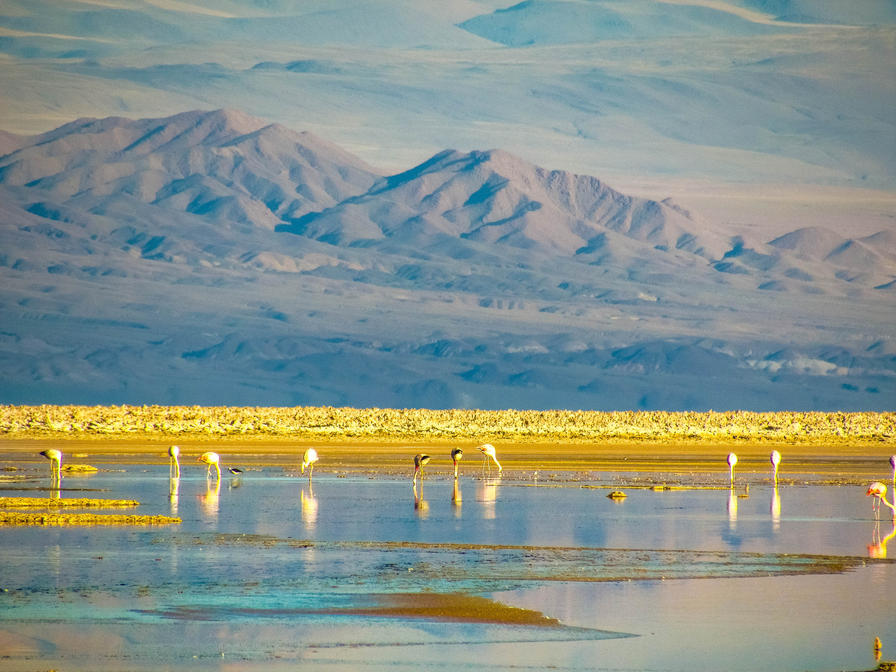 f2f2e3_9a245fe3d5da42d1a09ea7d8d78cc476~