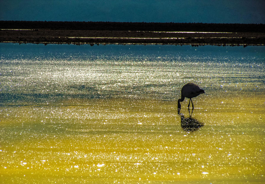 f2f2e3_055fab137b514181acf73b55246f884b~