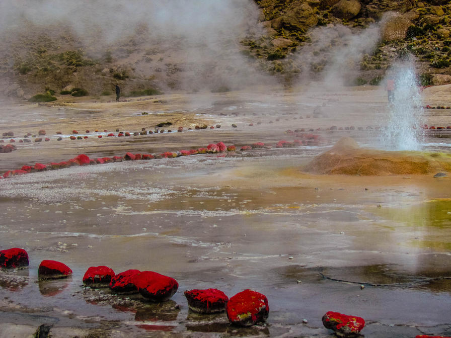 f2f2e3_0b187a8087e14ba5b27850eb28a1fec8~