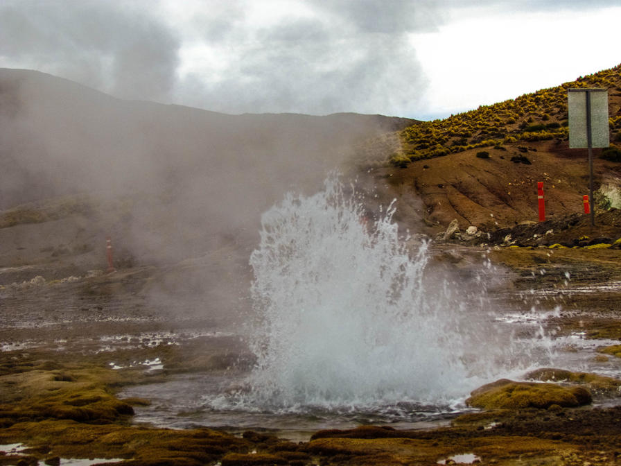 f2f2e3_d6cddb834fbb4ee8a1222246b4f61320~