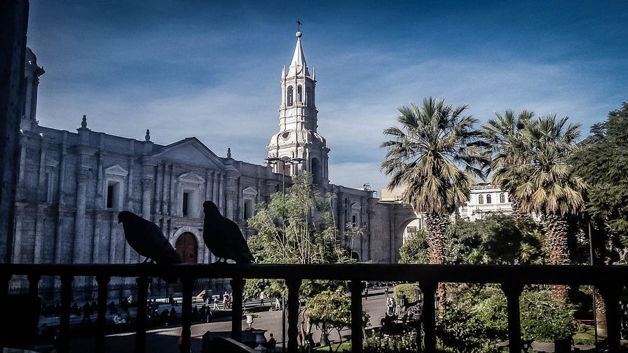 f2f2e3_854c710d105f4afcb871e1586b3eceea~