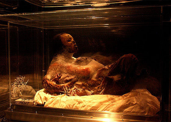 f2f2e3_8fe84cd77240473fa489f06d7b311f6d~