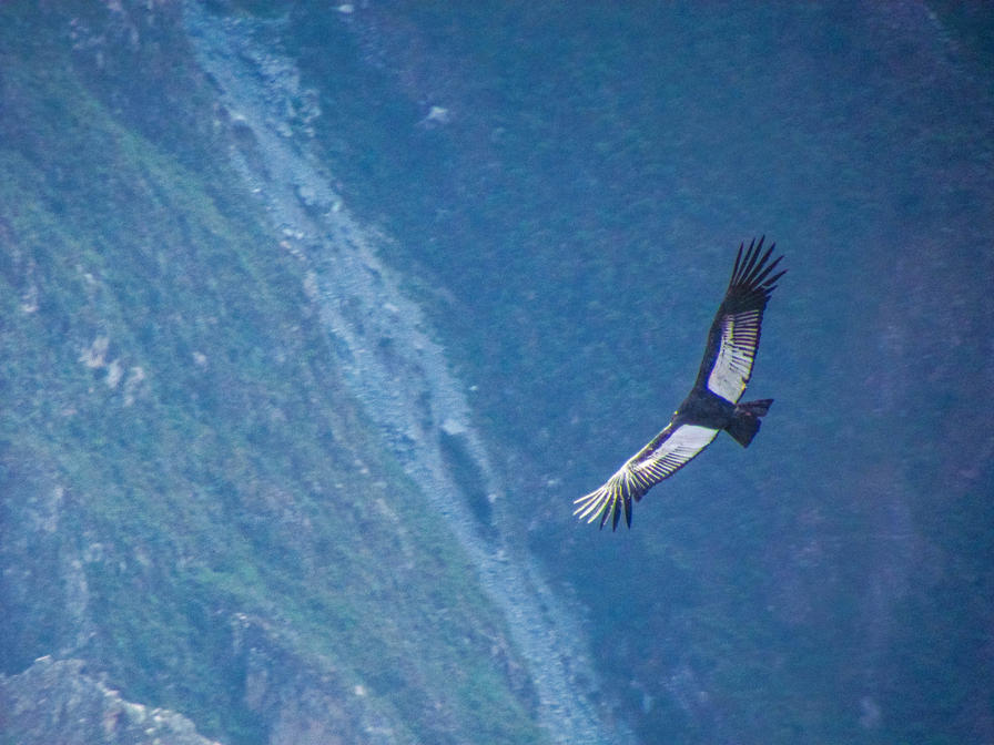 f2f2e3_abeb9b0bc5834edbbf3c8980c0187783~