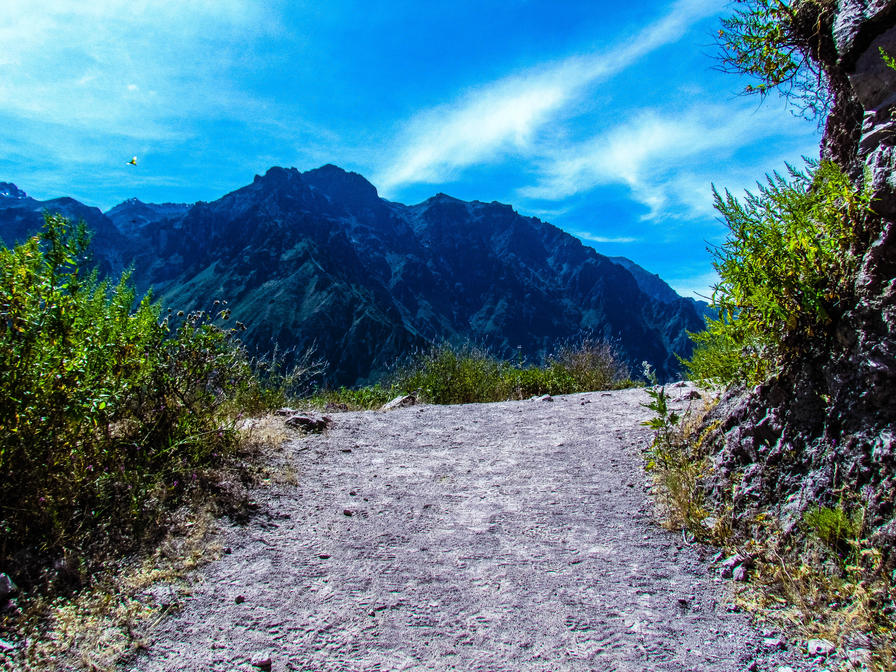 f2f2e3_8cdc1dc916e84782aee54c39846599b7~