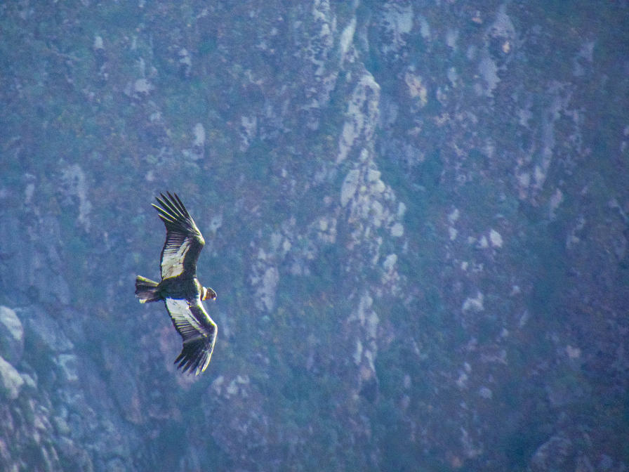 f2f2e3_21ec5e30b0fa46d38a852cf8b8f36493~