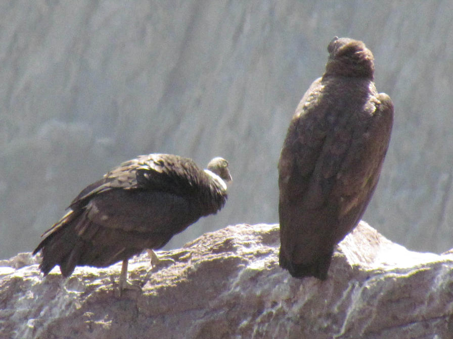 f2f2e3_325d6222cb9a4352b397aa6bc084727e~