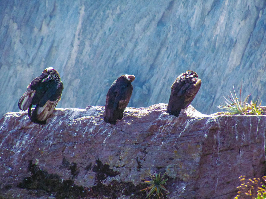 f2f2e3_203efcaca42846a992085b9543ce1d86~