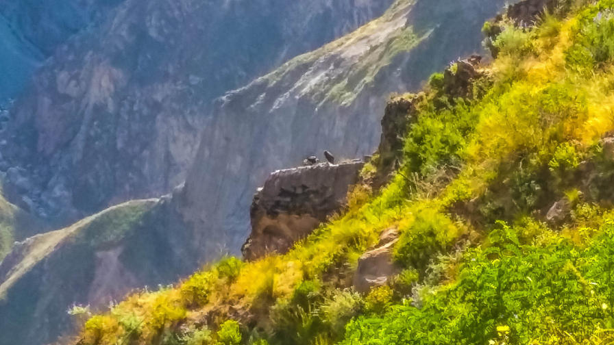 f2f2e3_e09a17a1ec6e488ca1b6e1f0b88ff9dc~