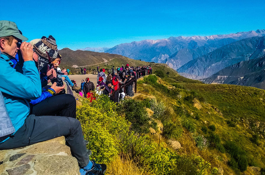 f2f2e3_f7b3aeae23ea4307bfc0b537fa279e79~