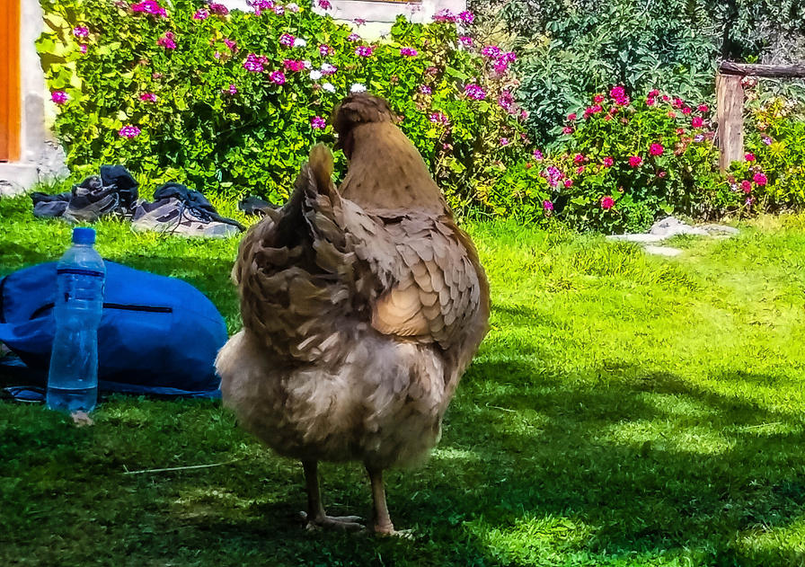 f2f2e3_7c97a419b94c4235919d253028aa3100~