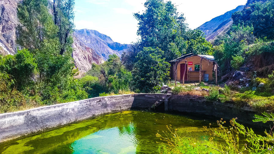 f2f2e3_af1e7eead8754423b6684dbeb1420211~