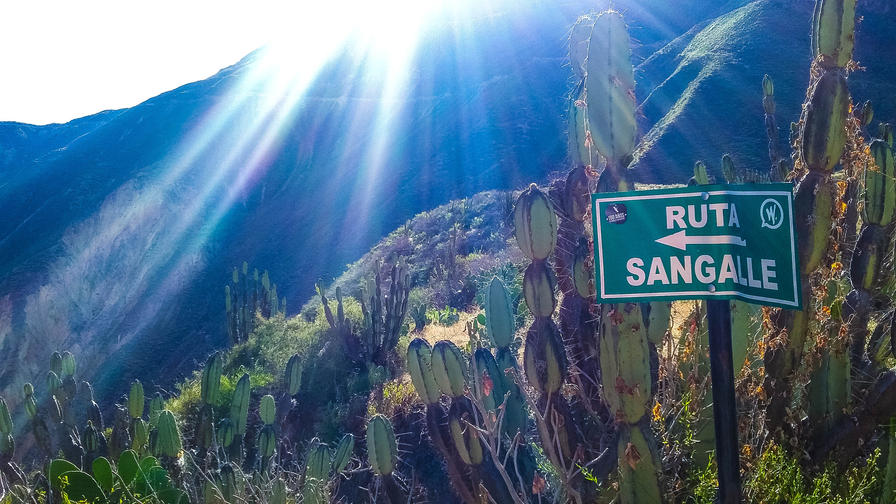 f2f2e3_e97c020d65f24f659ed63e2f3219f37e~