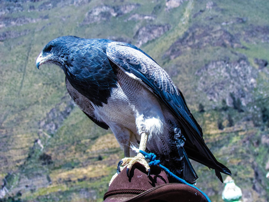 f2f2e3_ffecfda1547a4f83b6f7b0274671e2fe~