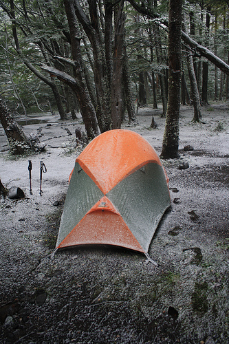 3412450211_4771156388.jpg?v=0