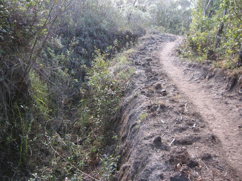 sCCIS3Q3hAyTj3E8LWmNlpNptMDv452WzaSG3642