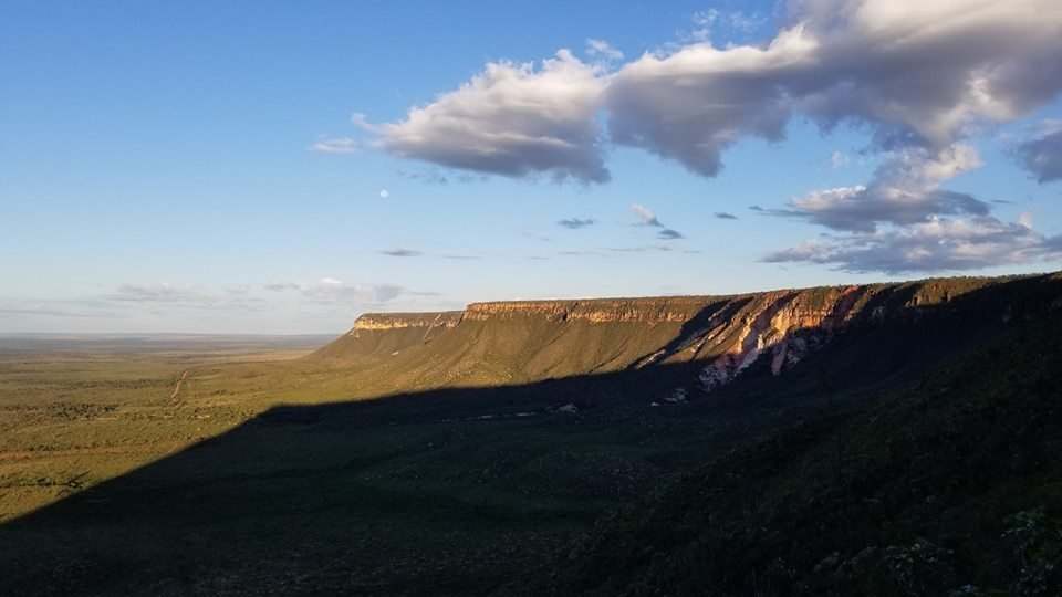 32769190_10204715439802507_3836915128440